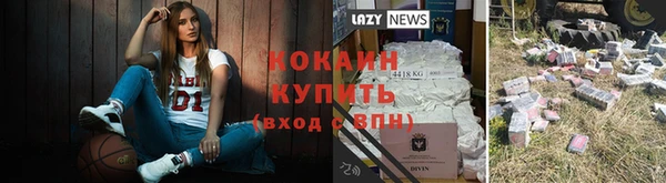 прущие крисы Вяземский