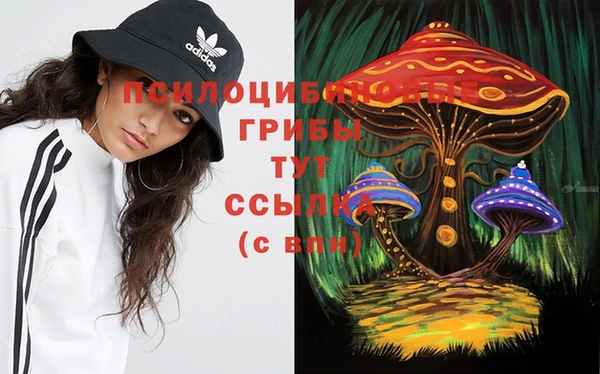 дживик Вязьма