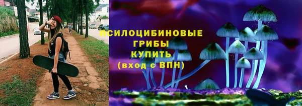 дживик Вязьма