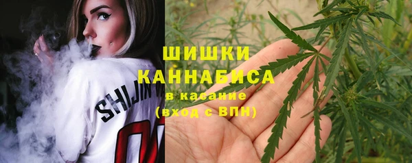 прущие крисы Вяземский